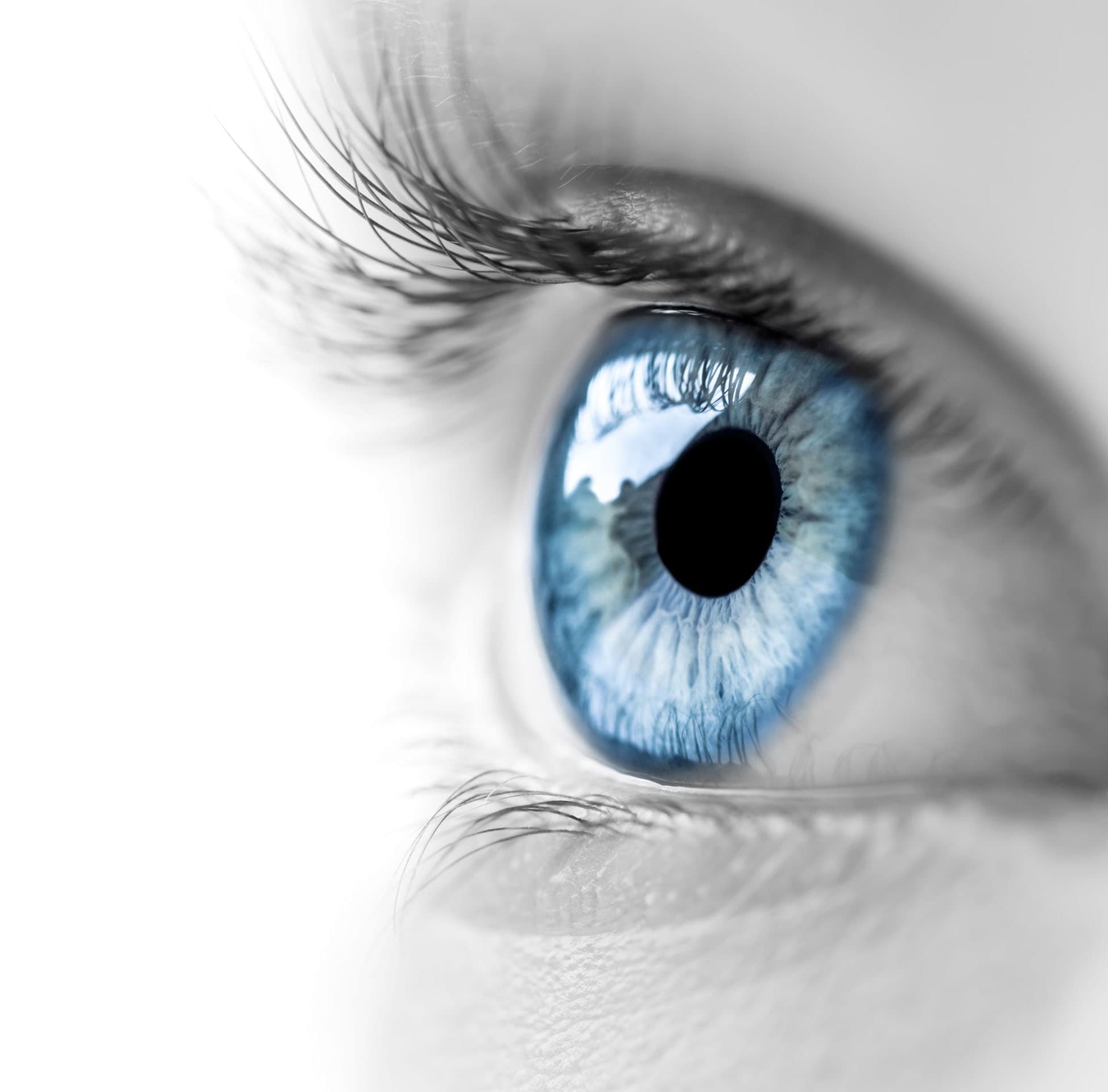 See What People Are Thinking