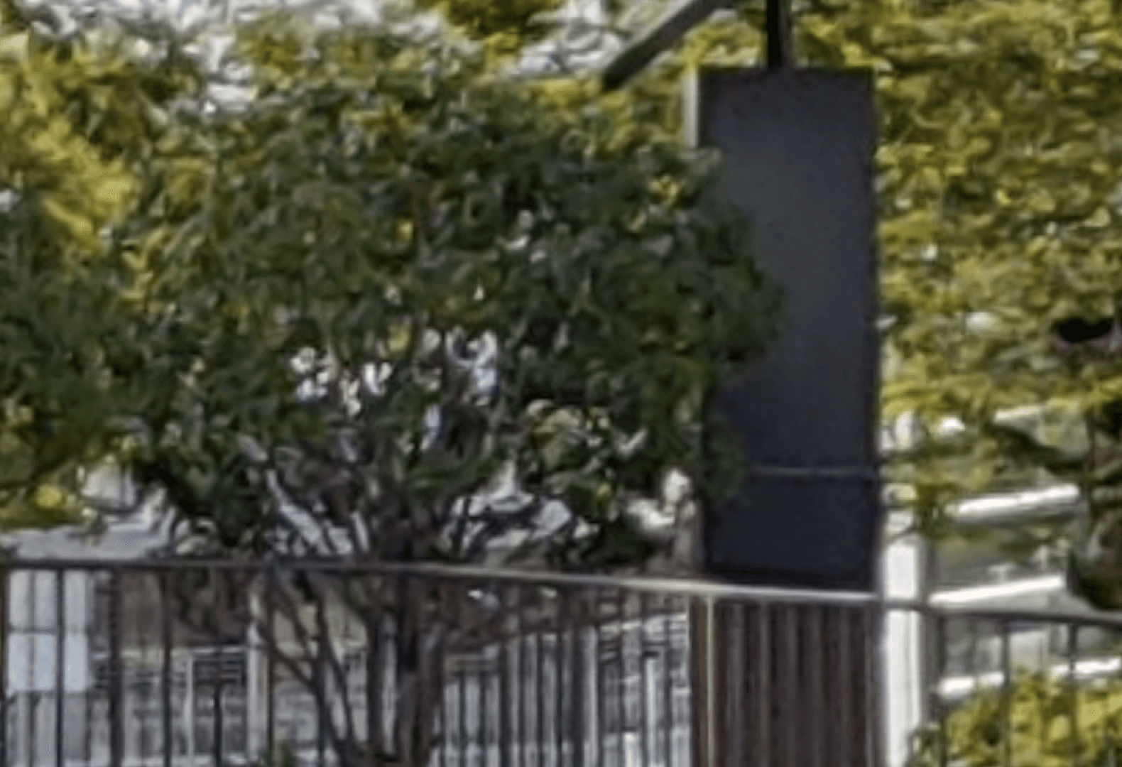 Before Image Enhancement